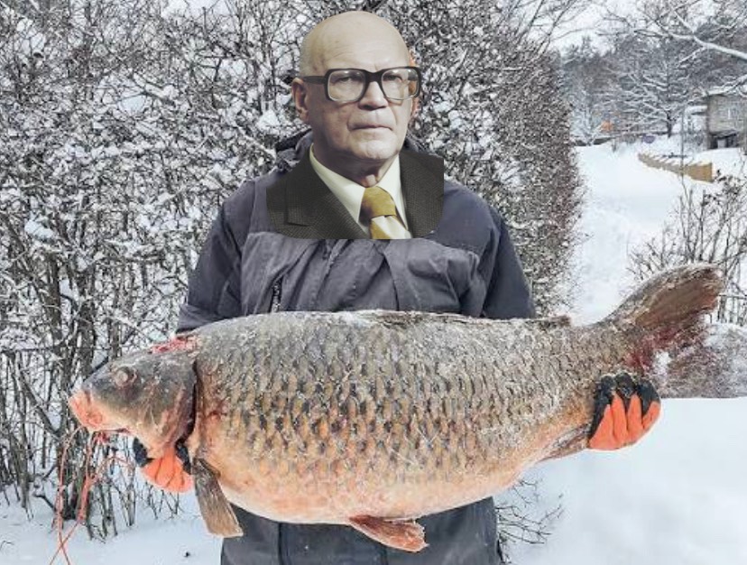 Media content from Salla